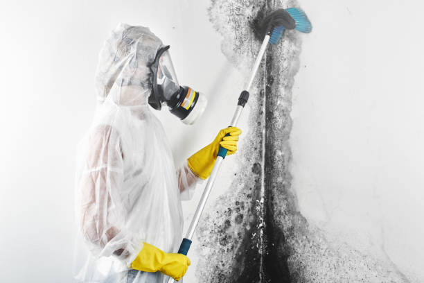Best Industrial Mold Remediation  in Barron, WI