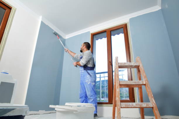 Best Attic Mold Removal  in Barron, WI