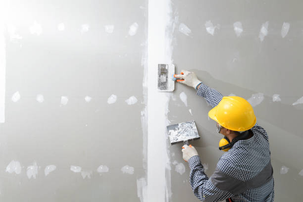 Best Mold Prevention Services  in Barron, WI