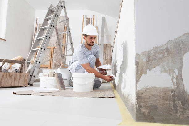 Best Mold Remediation for Healthcare Facilities  in Barron, WI