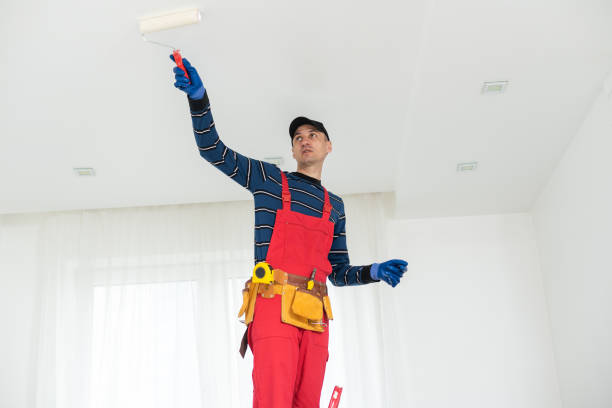 Best Mold-Related Health Consultation  in Barron, WI