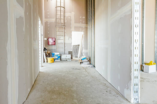 Best Mold Documentation for Insurance Claims  in Barron, WI